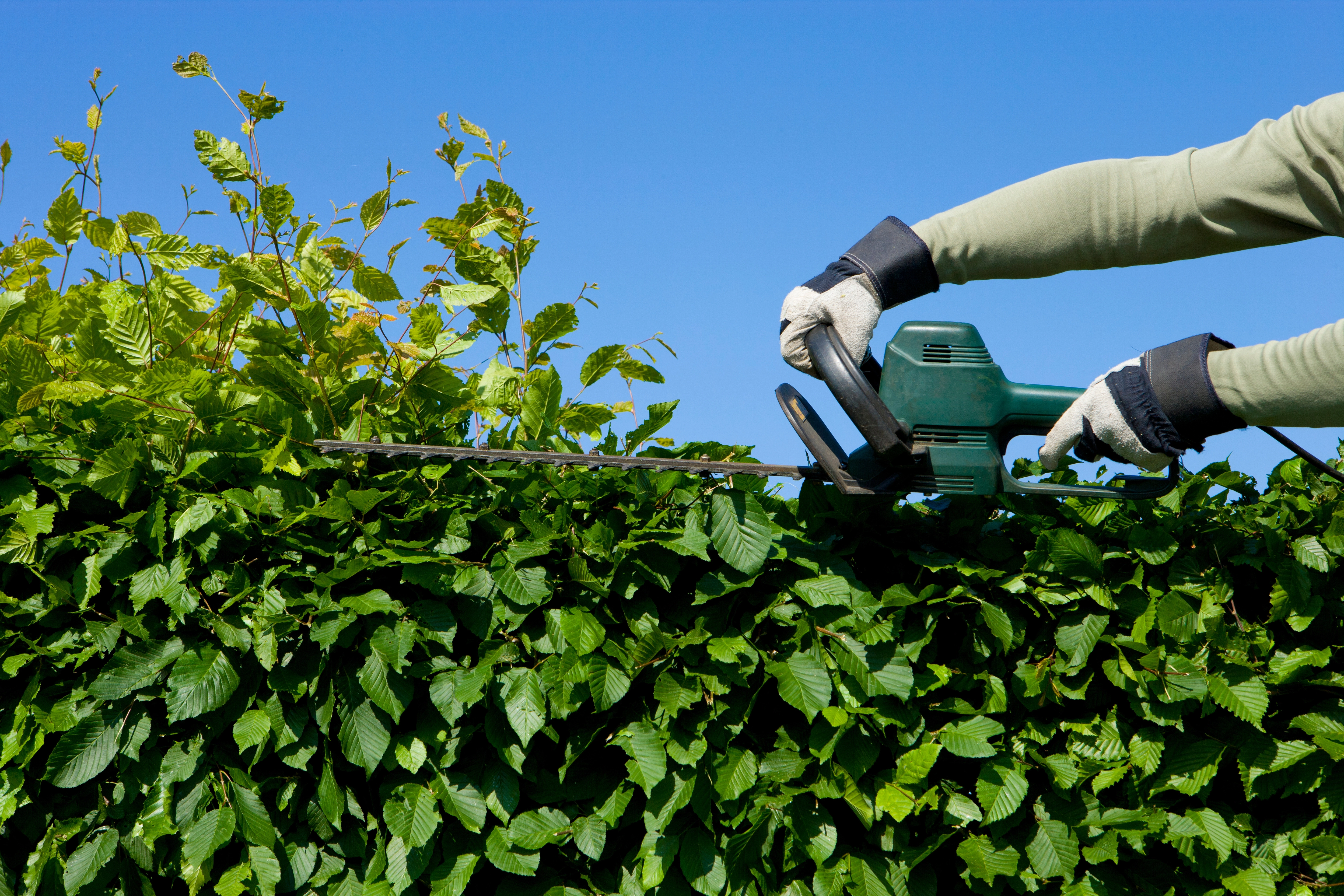 Gartenpflege – Rasen und Rasenkanten